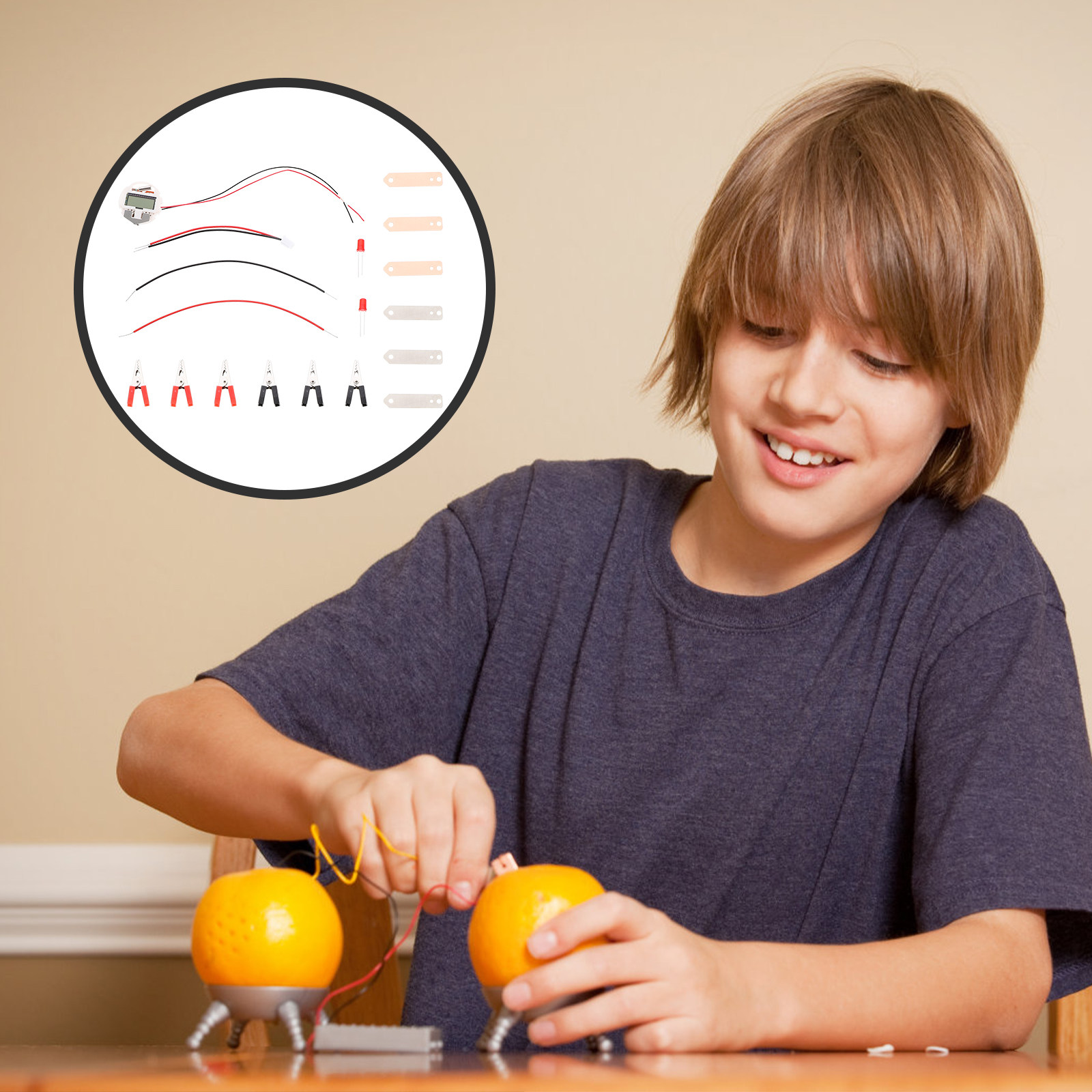 2Sets Fruit Battery Experiment - огляд і ціна Science Project Physics